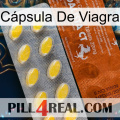 Cápsula De Viagra 42